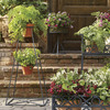Tiered Obelisk Plant Stand