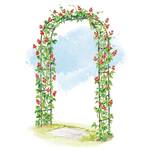 Titan Garden Arch