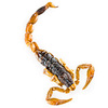 Toasted Scorpions