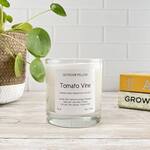 Tomato Vine Scented Candle with a Coconut / Apricot Wax Blend