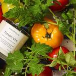 Tomato Vine Scented Candle with a Coconut / Apricot Wax Blend