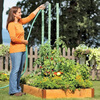 Tomato Watering Stakes
