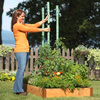 Tomato Watering Stakes