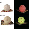 Tomori Seasonal LED Japanese Paper Lanterns