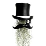 Top Hat and Face Air Plant Hanging Planter