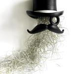Top Hat and Face Air Plant Hanging Planter