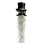 Top Hat and Face Air Plant Hanging Planter