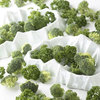 Topography Soup Bowl