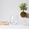 Torch Plant Light Botanical Candle
