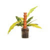 Totem - Slow-Release Terra-Cotta Plant Watering Spikes