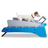 Treadmill for Dogs