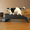 Treadmill for Dogs
