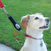 Tug-Preventing Dog Trainer