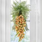Tulip Carrot Door Swag