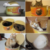 Tuna Can Cat Scratcher / Bed
