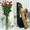 One Dozen of the World's Tallest Roses!