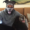 Ultra-Realistic Animal Ski Masks