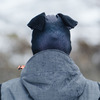 Ultra-Realistic Animal Ski Masks