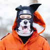 Ultra-Realistic Animal Ski Masks