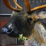 Ultra-Realistic Life-Sized Animatronic Reindeer Statue