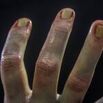 Ultra-Realistic Posable Silicone Severed Hands Props