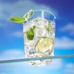 Unbreakable Crystal-Clear Silicone Whiskey Rocks Glasses