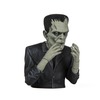 Universal Monsters Frankenstein Spinature - Terrorize Your Turntable!