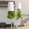 Upside-Down Sky Planter