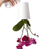 Upside-Down Sky Planter