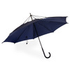 Upside Down Umbrella