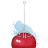 Upside Down Waxed Amaryllis Hanger