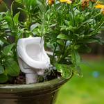 Urinal Plant Watering Stake