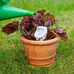 Urinal Plant Watering Stake
