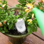 Urinal Plant Watering Stake