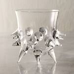Ursa Spiky Glassware