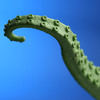 USB Animatronic Squirming Tentacle