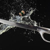 Vagnbys Champagne Saber
