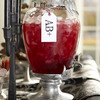 Vampire Teeth Drink Dispenser Stand