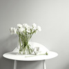 Vase Vase