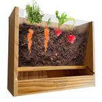 Vegetable Root Viewer Planter - Watch Roots as They Grow