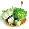 Vegetabrella - Lettuce Leaf Umbrella