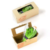 Vegetabrella - Lettuce Leaf Umbrella