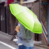 Vegetabrella - Lettuce Leaf Umbrella