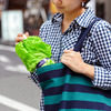 Vegetabrella - Lettuce Leaf Umbrella