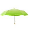 Vegetabrella - Lettuce Leaf Umbrella