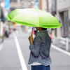 Vegetabrella - Lettuce Leaf Umbrella