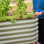 Vego Garden Elevated Rolling Garden Bed with Wicking Cell System