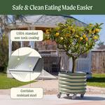 Vego Garden Self-Watering Rolling Citrus / Fruit Tree Metal Planter