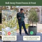 Vego Garden Self-Watering Rolling Citrus / Fruit Tree Metal Planter