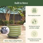 Vego Garden Self-Watering Rolling Citrus / Fruit Tree Metal Planter